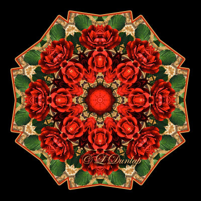 * 2. Holiday Rose With Gold Design Fabric 2 Kaleidoscope
