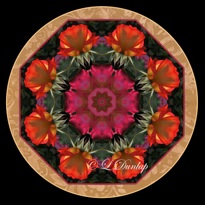 Rose Kaleidoscopes