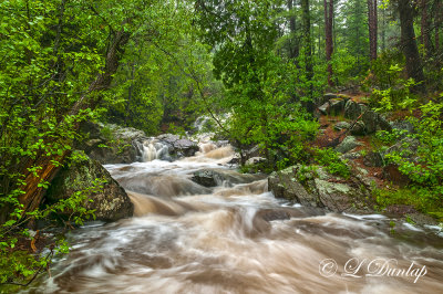 ** 4.3 - Duluth Parks:  Tischer Creek In Spring