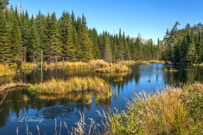 * 105.82 - Gunflint Trail:  Beaver's Pond 