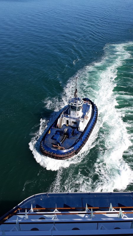 Tug Boat with Harbour Master... Tauranga.