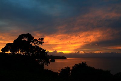 Sunrise Hauraki Gulf Whangaparaoa