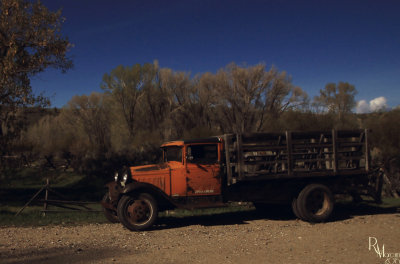 LMRW9859v.jpg