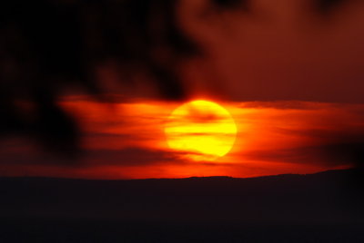 g9/94/810394/3/152273776.zBJspQxC.jpg