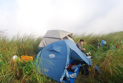Behind Grasses