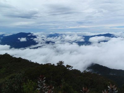 Overview
