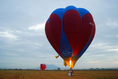 Hot Air Ballon Festival Feb 13, 2009