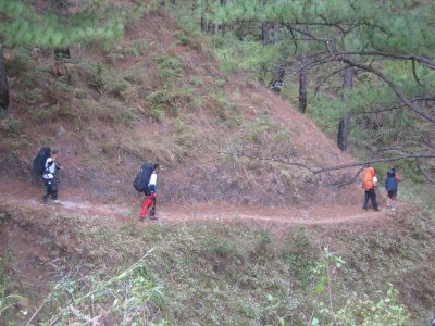 Trail