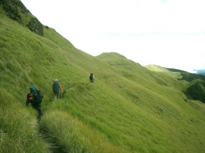 Level 3: Grassland