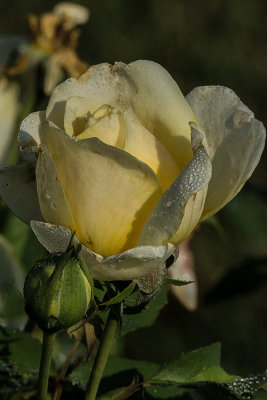 080214-3861.jpg