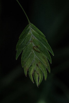 080314-3962.jpg