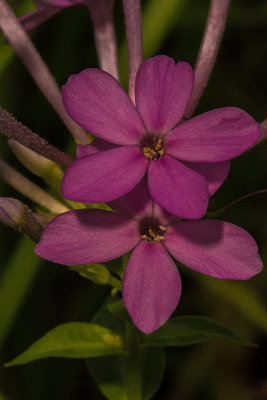 080314-3939.jpg