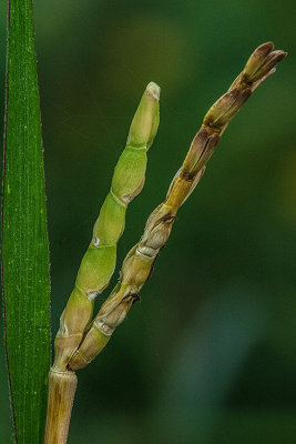 081014-4035.jpg