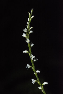 081014-4016.jpg