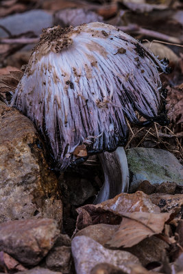 New Images for September 2014