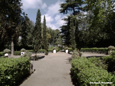 In een botanische tuin