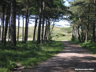 Middenduin