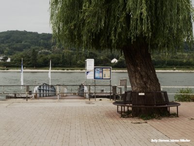 Aan de Rijn in Braubach