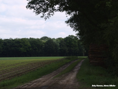 Op de Roezenberg