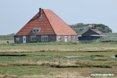 Hargener en Pettemer polder