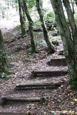 Het pad op een trap