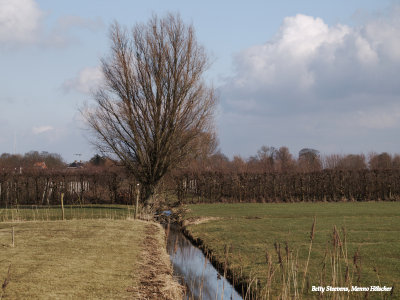 Linschoten - Lange Linschoten