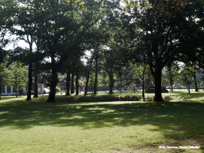 Dwingeloo - de brink
