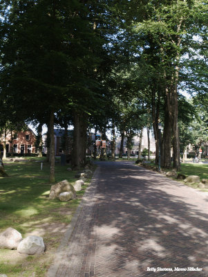 Dwingeloo - de brink