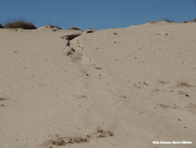 Aekinger zand of Kale Duinen