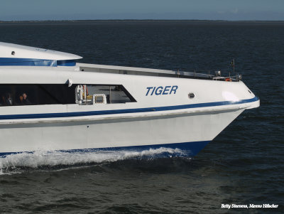 Tiger, de sneldienst, een catamaran