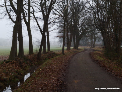 Baldersteeg, Ootmarsum