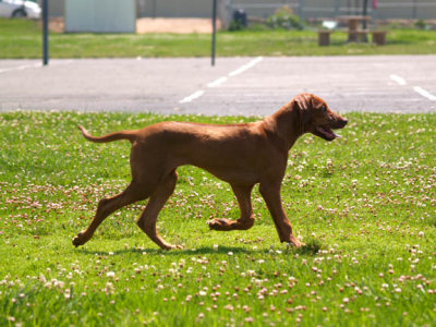 Ok, not the best movement shot...