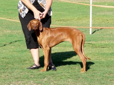 Meiles 1st shows - IABCA