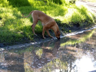 Reflections