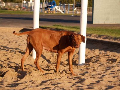 I love the sand