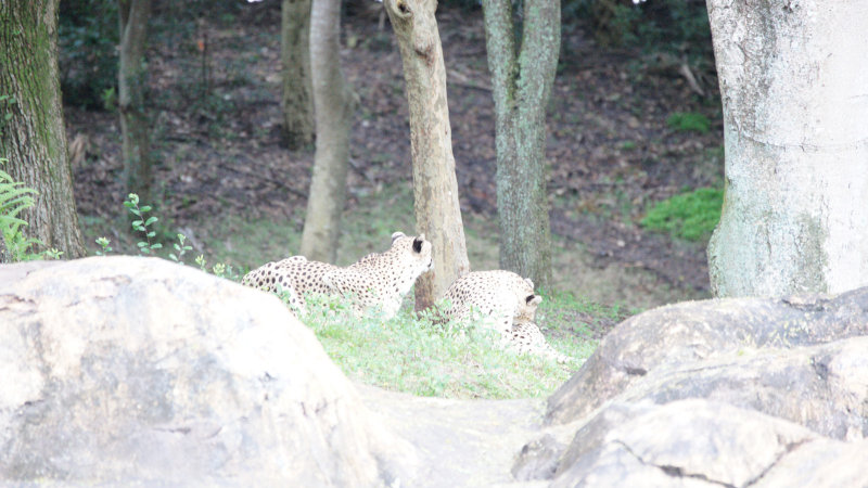 DSC09516_test from JPEG.jpg