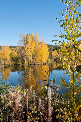 Kaye Madsen - Reflections - Dawson Gold Trail 2