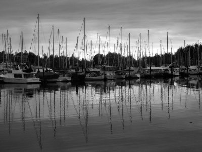 Muriel Ryan - Reflections 2