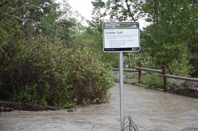 Signs - During the Flooding