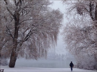 Diane Werbisky - Frost 2