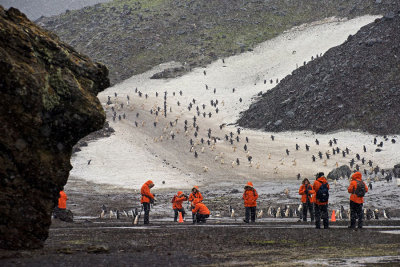 Don Campbell - Antarctica 1