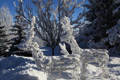 John McGilvary - Frost 1