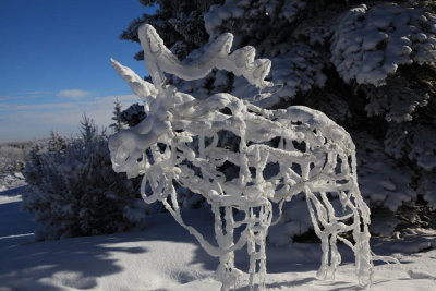 John McGilvary - Frost 2