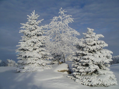 John McGilvary - Frost 3