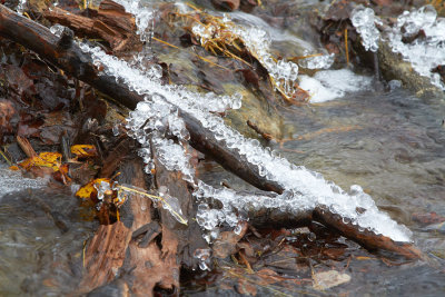 Len Cyca - Frozen 1