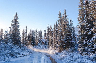 Suzan McEvoy - Frozen 2