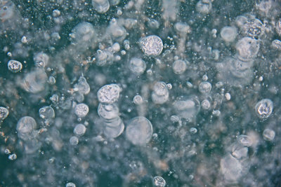 Tracy Hindle - Ghost Lake Frozen Bubbles