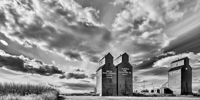 Joan Fox - Elevators At Rowlley