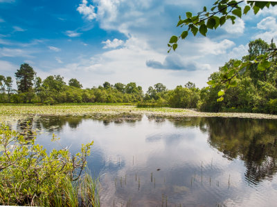 Loch Kinord