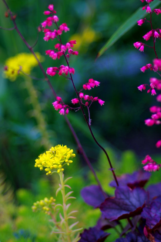 flower03.JPG